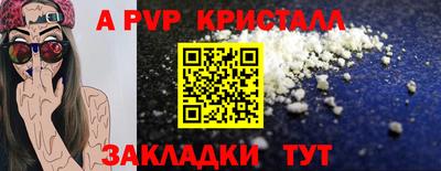 ECSTASY Гусев
