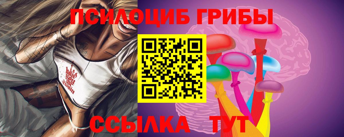 Псилоцибиновые грибы GOLDEN TEACHER Нижнекамск